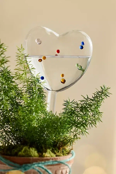 Terrain Confetti Glass Heart Watering Globes, Set Of 2 In Transparent