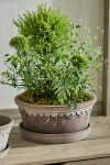 Terrain Copenhagen Terracotta Bowl + Saucer Set