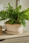 Terrain Copenhagen Terracotta Bowl + Saucer Set