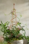 Terrain Copper Spiral Plant Obelisk