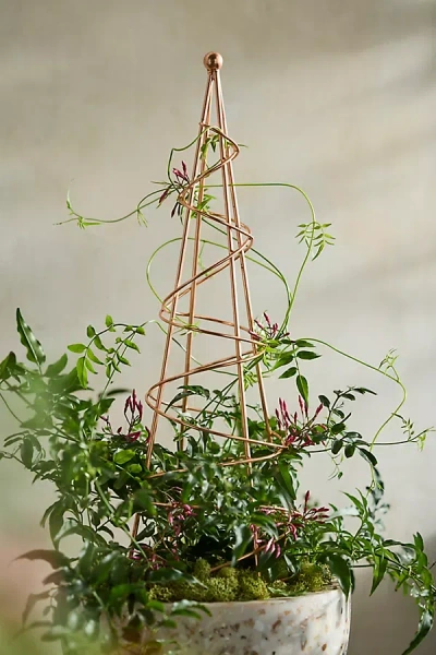 Terrain Copper Spiral Plant Obelisk