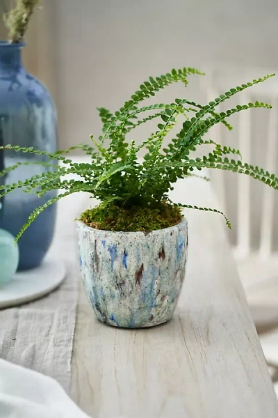 Terrain Crackle Taper Ceramic Pot In Blue