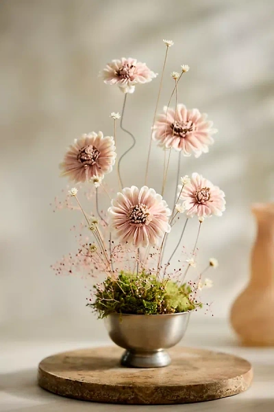 Terrain Crafted Botanical Bunch, Daisy In Multi