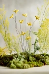 Terrain Crafted Botanical Bunch, Jasmine In Yellow