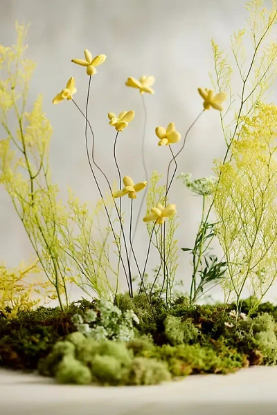 Terrain Crafted Botanical Bunch, Jasmine In Yellow