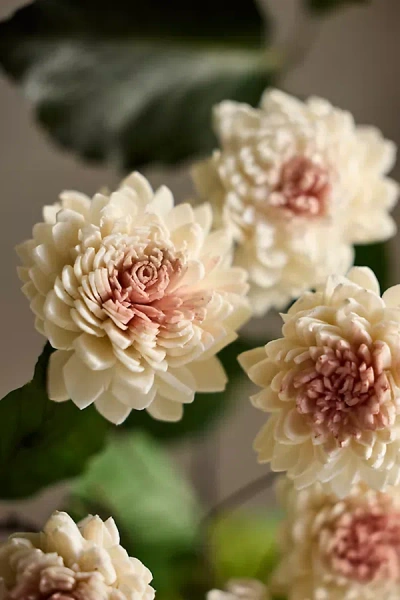 Terrain Crafted Botanical Bunch, Zinnia In Multi