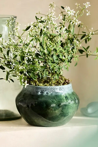 Terrain Cresida Terracotta Jar Planter In Green