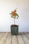 TERRAIN CROSS FRAME IRON PLANTER