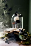 Terrain Crystal Ball On Pedestal
