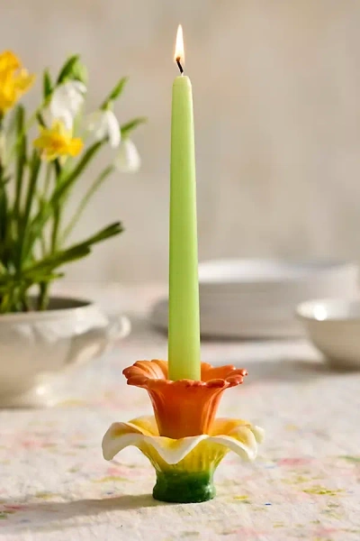 Terrain Daffodil Bloom Taper Candle