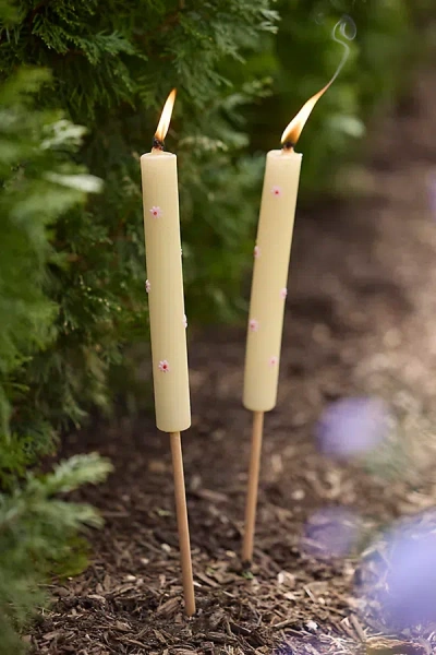 Terrain Daisy Citronella Torch Candle