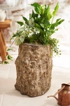 Terrain Dion Cast Stone Planter