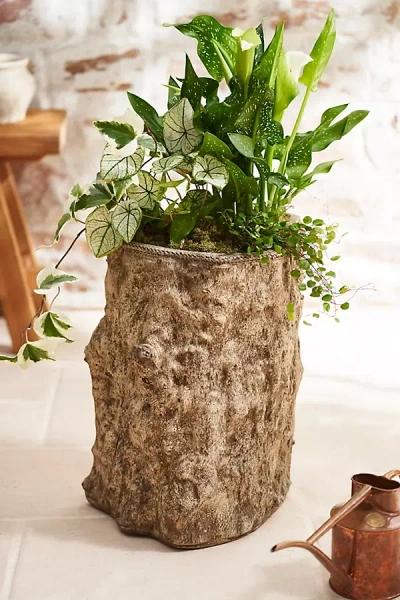 Terrain Dion Cast Stone Planter In Brown