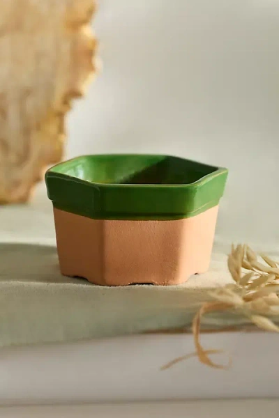 Terrain Dipped Hexagon Galestro Pot