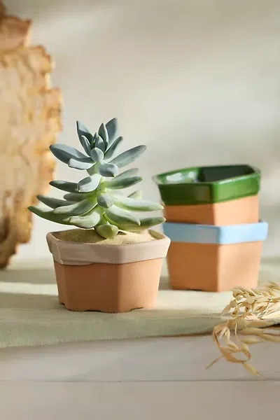 Terrain Dipped Hexagon Galestro Pot In Multi