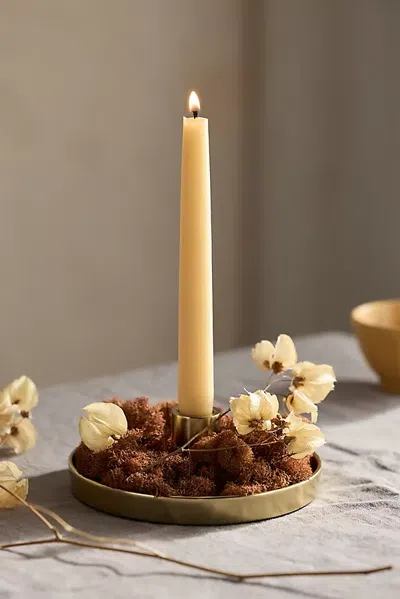 Terrain Dish Candlestick Holder In Gold