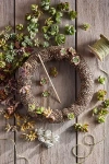 Terrain Diy Succulent Wreath Kit