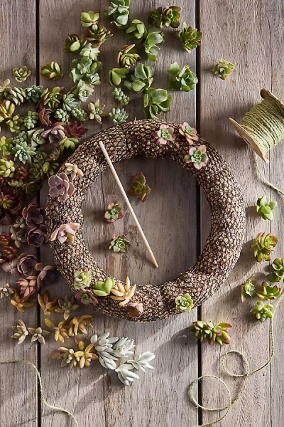 Terrain Diy Succulent Wreath Kit In Brown
