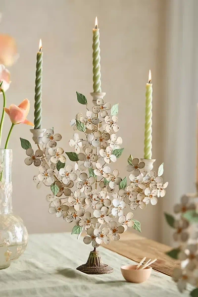Terrain Dogwood Candelabra In White
