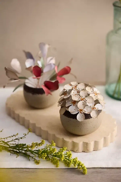 Terrain Dogwood Flower Metal Pot