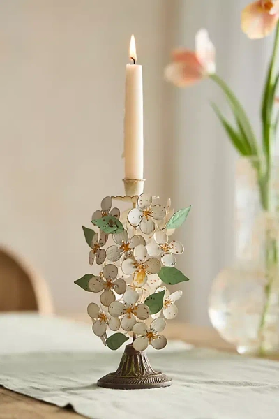 Terrain Dogwood Taper Holder In White