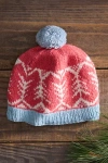 Terrain Dolpa Wool + Fleece Hat In Red