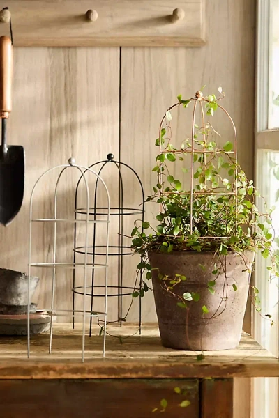 Terrain Domed Cylinder Iron Mini Trellis