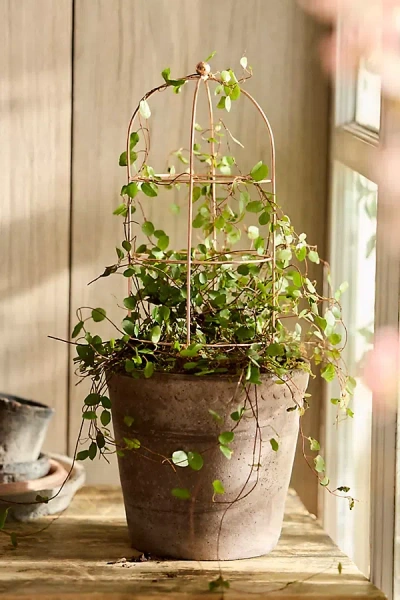 Terrain Domed Cylinder Iron Mini Trellis In Brown