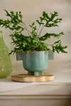Terrain Double Handle Footed Ceramic Pot