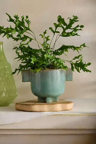Terrain Double Handle Footed Ceramic Pot