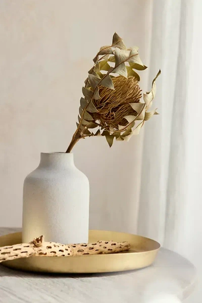 Terrain Dried Banksia Baxteri Stem In Gold