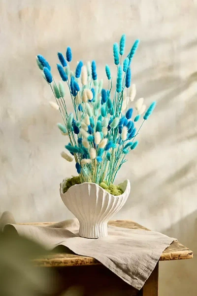 Terrain Dried Bunny Tails Bunch