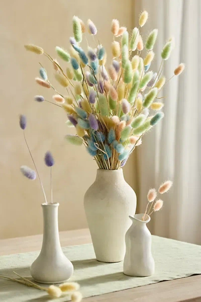 Terrain Dried Bunny Tails Bunch