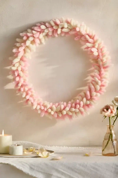 Terrain Dried Bunny Tails Wreath, Large