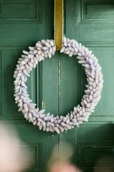 Terrain Dried Bunny Tails Wreath, Large