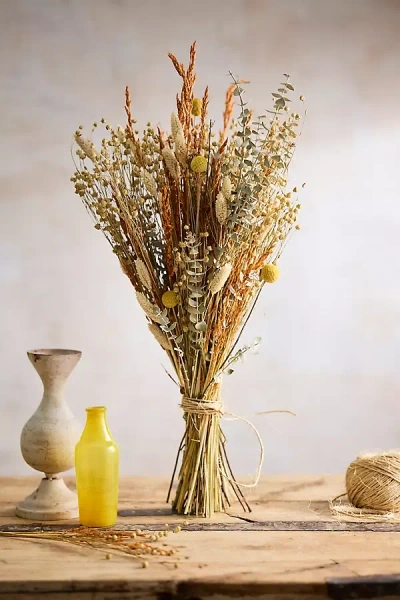 Terrain Dried Colorful Craspedia Bouquet In Multi