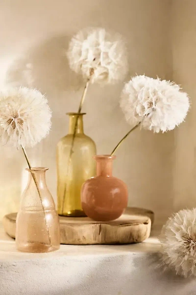 Terrain Dried Dandelion Stems, Set Of 5 In Multi