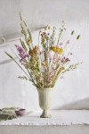 Terrain Dried Dutch Field Mix Bouquet, Multi