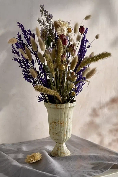Terrain Dried Dutch Field Mix Bouquet, Purple In Multi