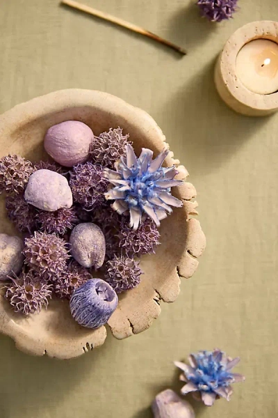 Terrain Dried Floral Scatter