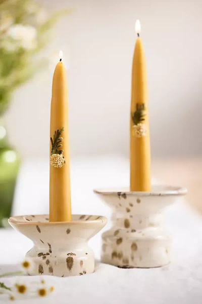 Terrain Dried Floral Taper Candles, Set Of 2 In Yellow
