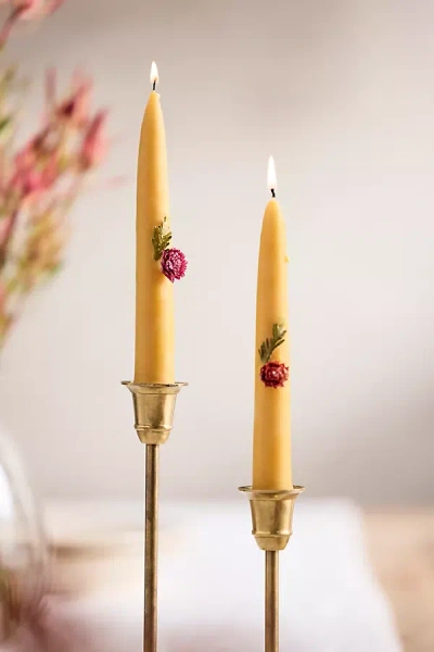 Terrain Dried Floral Taper Candles, Set Of 2 In Yellow