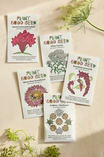Terrain Dried Flower Garden Seeds, Set Of 5 In Multi