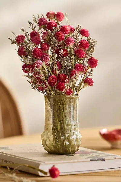 Terrain Dried Gomphrena Bunch