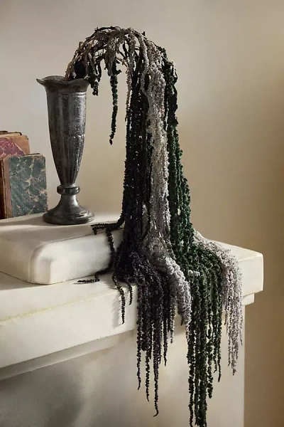 Terrain Dried Hanging Amaranth Bunch In Black