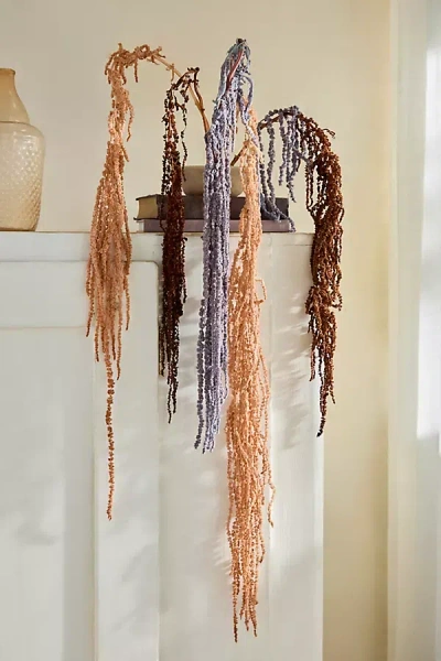 Terrain Dried Hanging Amaranth Bunch In Multi