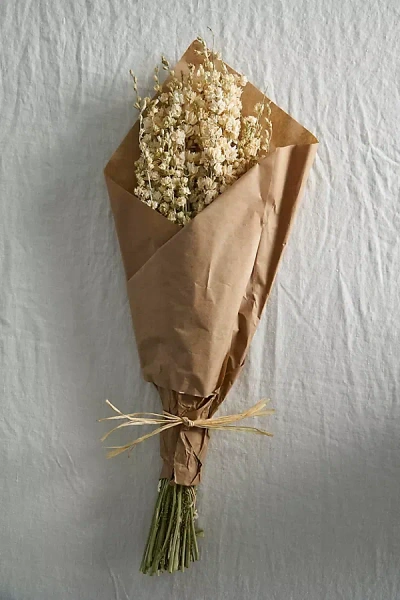 Terrain Dried Larkspur Bunch