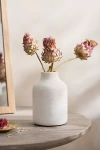 Terrain Dried Mini Artichoke Bunch