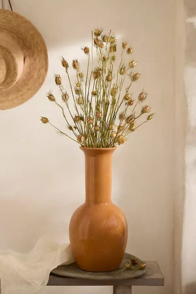 Terrain Dried Natural Nigella Bunch In Neutral
