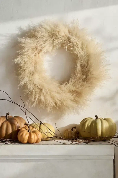 Terrain Dried Pampas Grass Wreath In Neutral